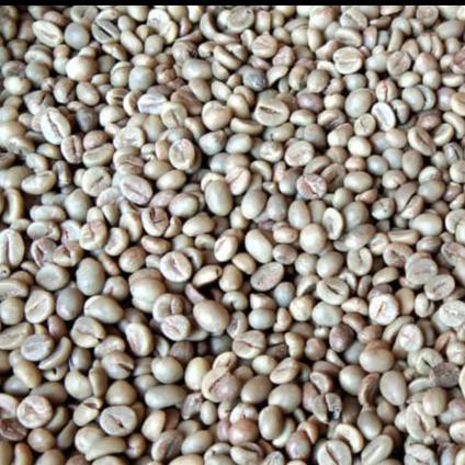 

Produk Terbaik] Greenbean Robusta Dampit 7Mm