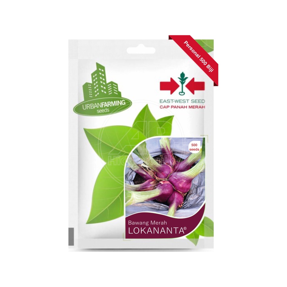 Benih Bawang Merah Lokananta Cap Panah Merah Isi 500 Butir