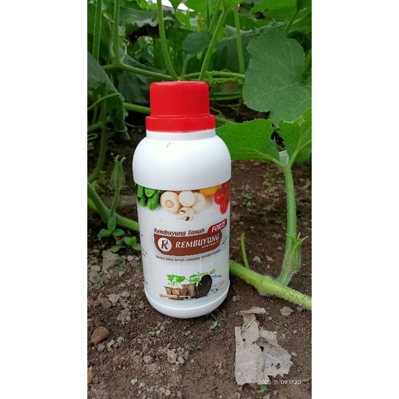 pupuk ENZIM REMBUYUNG FORTE TANAH 250ml