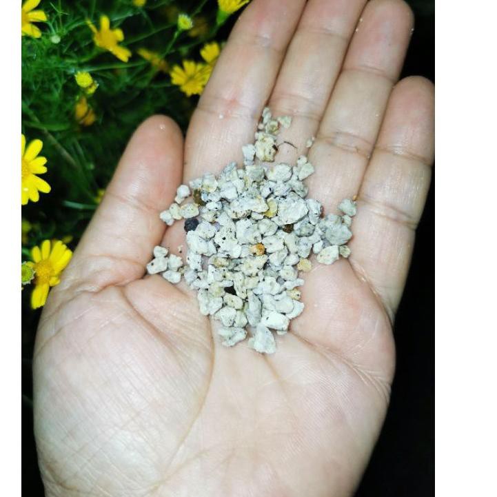 F⚡ASH SALE media tanam batu pumice ukuran kecil