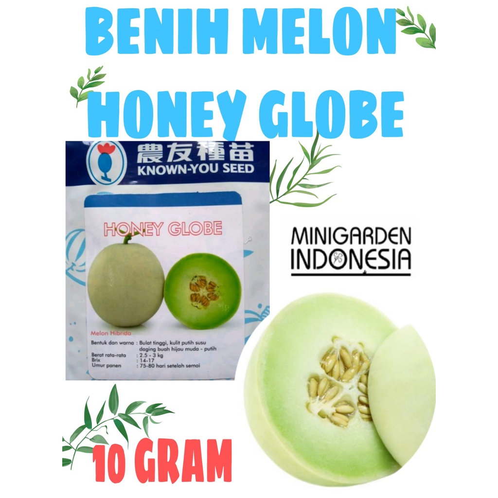 Jual Melon Honey Globe 10 Gram Pack Besar Benih Biji Bibit Buah Melon Hijau F1 Known You Seed 