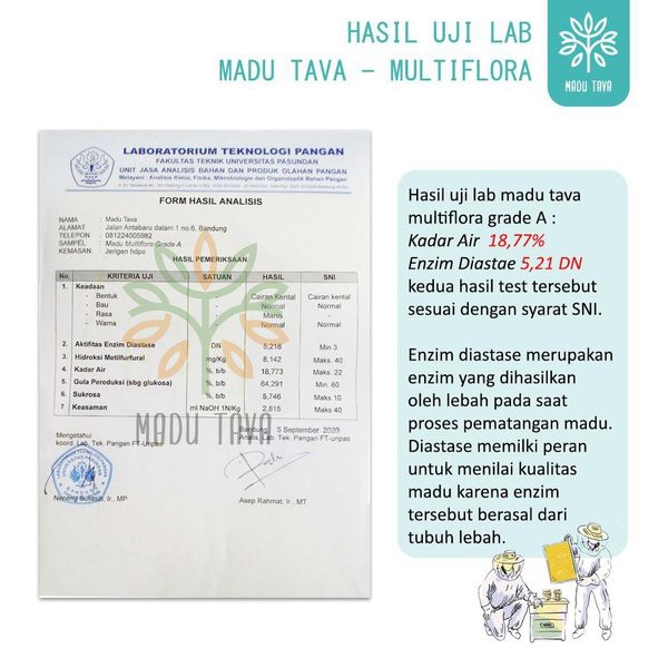 Madu Tava Multiflora - Madu Murni 100% - Pure Honey