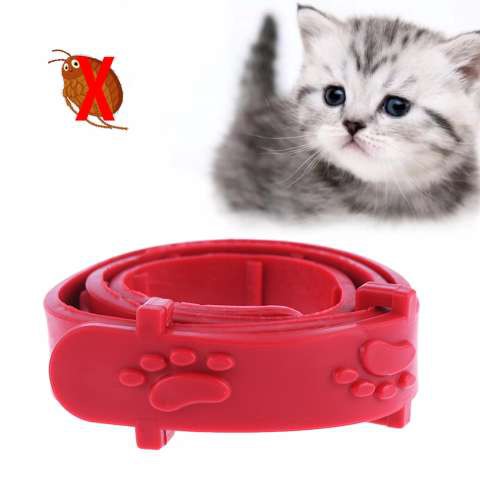 Kalung kutu kucing /  aksesoris kucing / obat kutu kucing / collar for cat