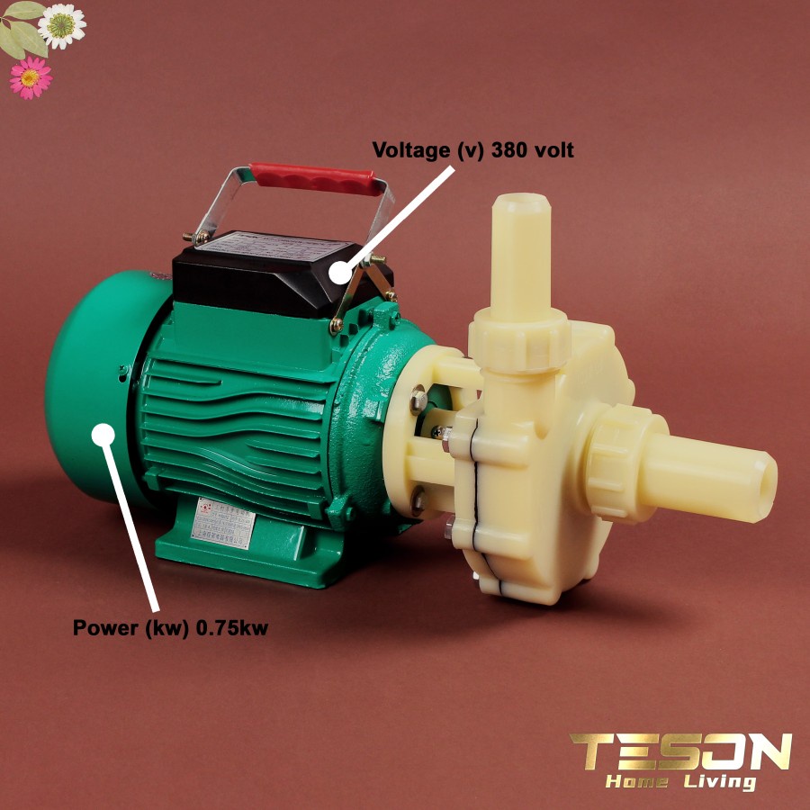 Pompa Kimia Cairan Asam 32FS12 380V Chemical Pump Teson Homeliving