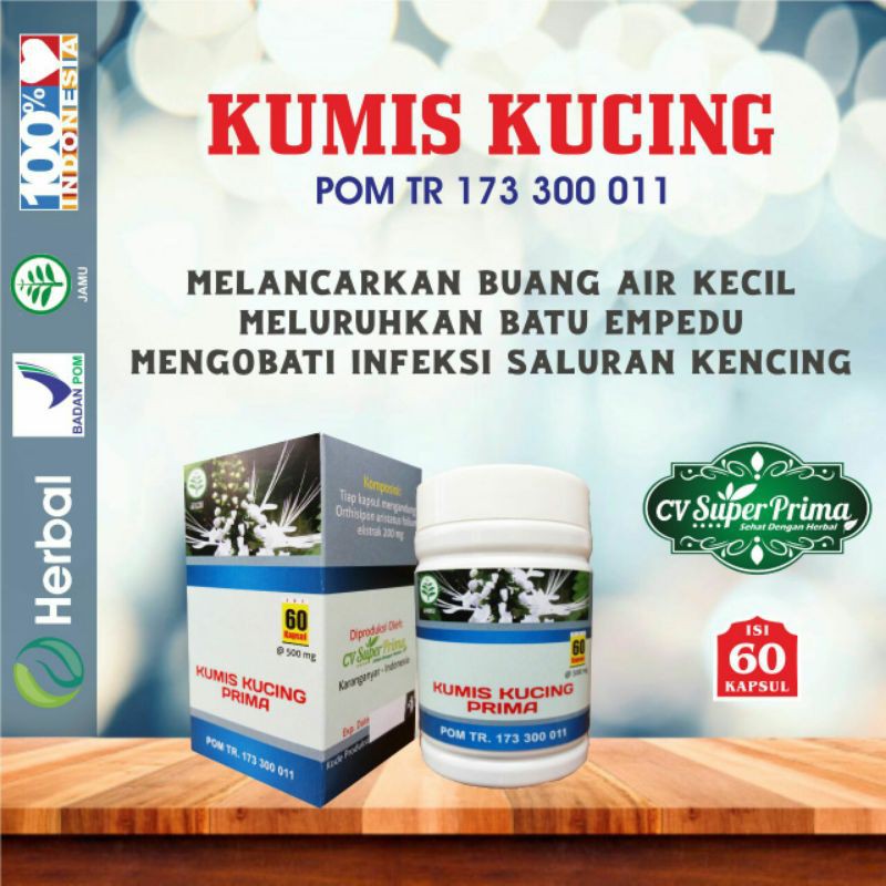 KAPSUL KUMIS KUCING HERBAL
