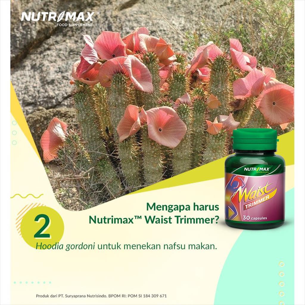 Obat Pelangsing Nutrimax Waist BPOM made in USA