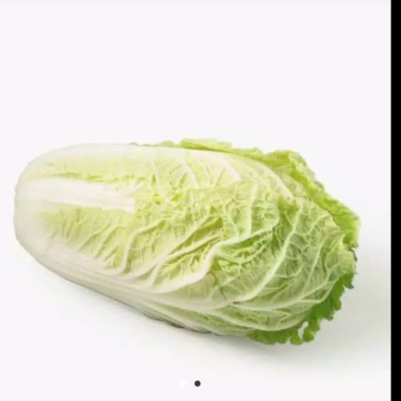 

SAWI PUTIH 1 pcs / Sayur Segar