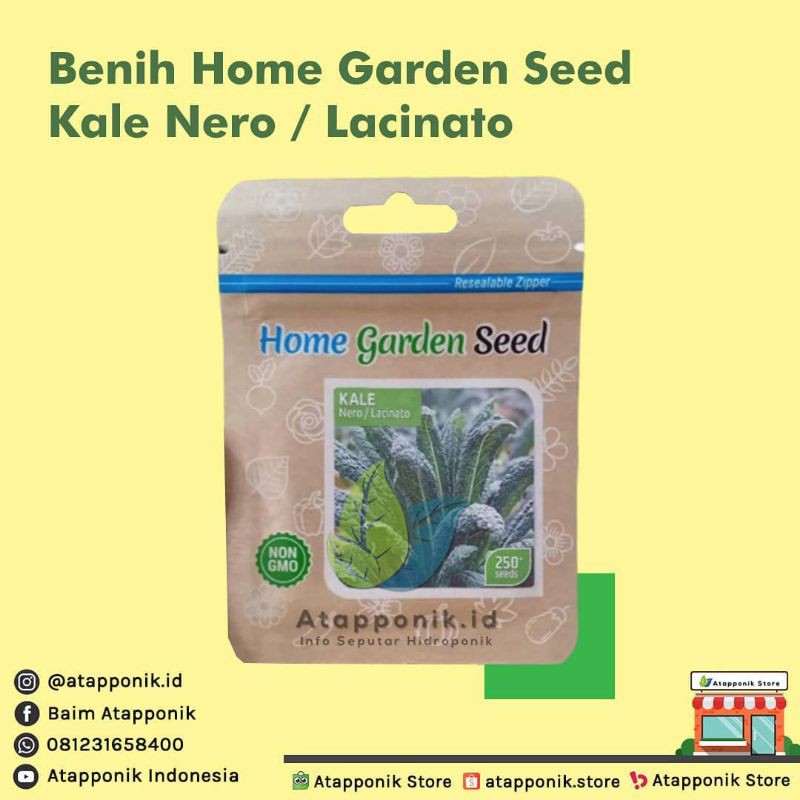 benih bibit kale nero/lacinato