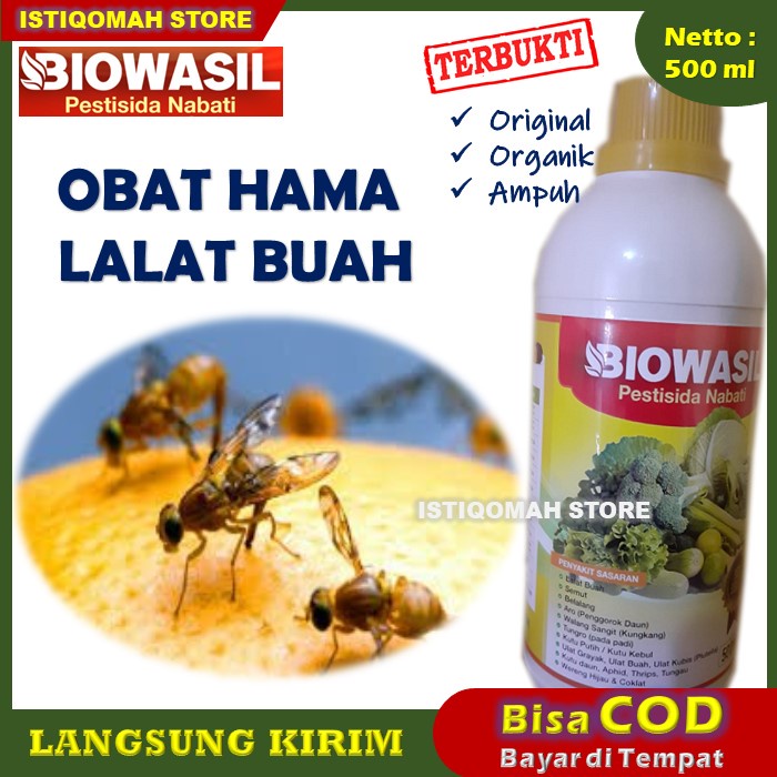 Jual Insektisida Pestisida Organik Obat Hama Biowasil Pembasmi Lalat Buah Pada Semua Tanaman 8603