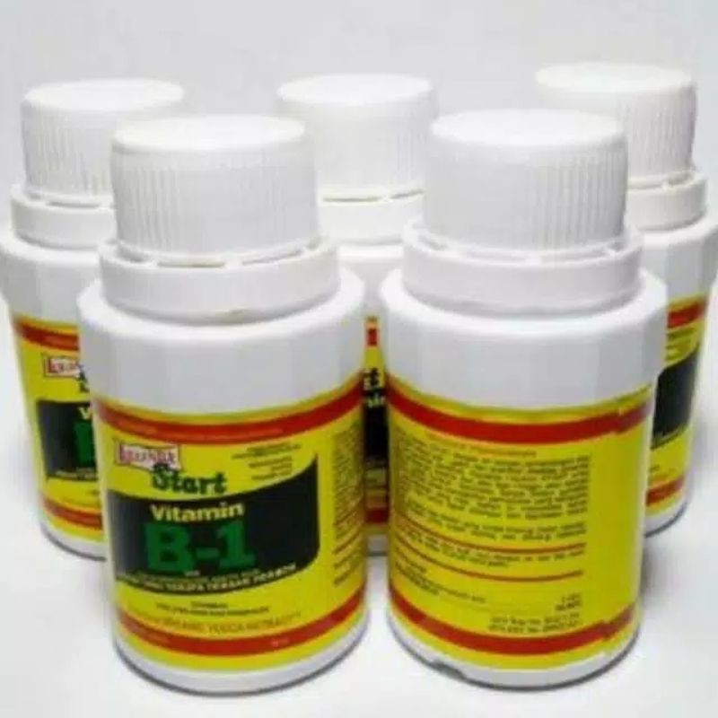 vitamin perangsang akar untuk anggrek