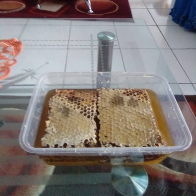 

Madu sarang murni