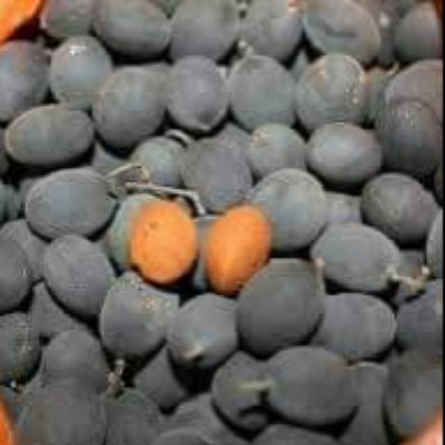 

Kuranji asem