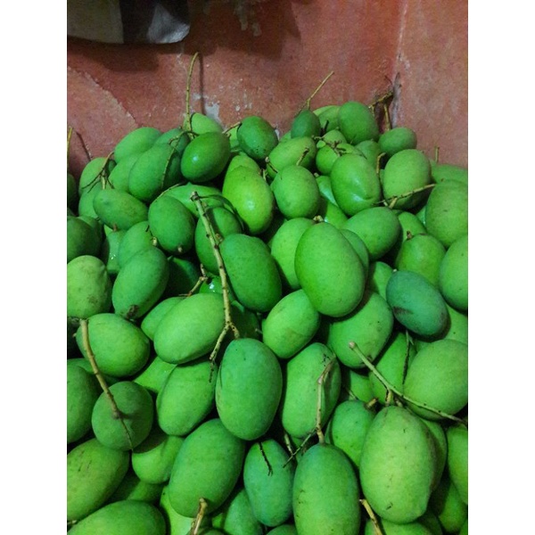 

mangga muda buat rujak/petisan 1 kg