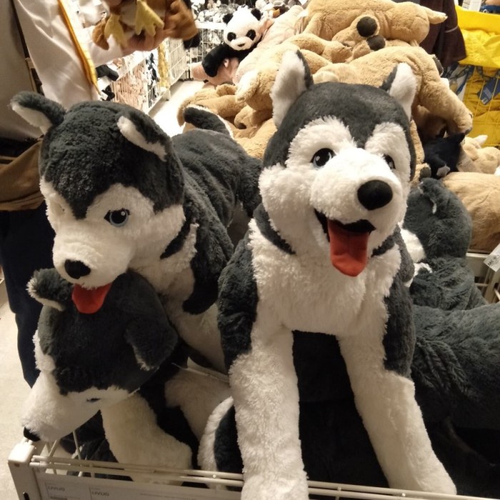 Livlig ikea boneka anjing siberian husky F#