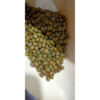 

Kacang hijau import ¼kg (250 gram)