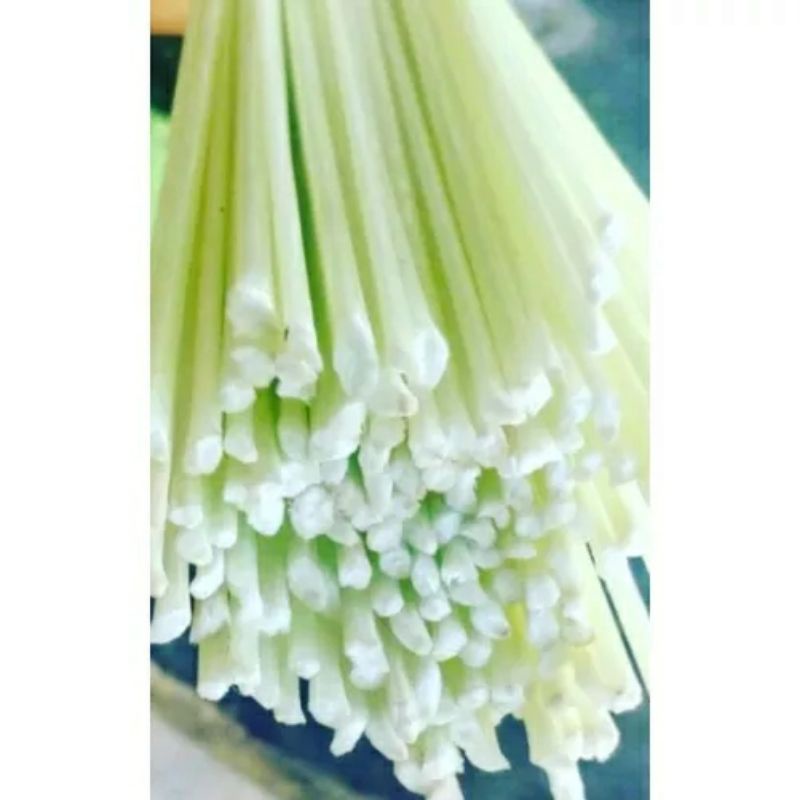 FIBER TELKOM SUPER LENTUR PANJANG 200CM DIAMETER 3,5MM