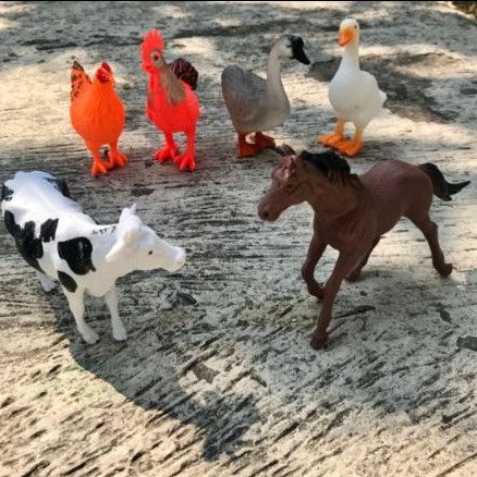 62 Gambar Hewan Ternak Unggas Gratis Terbaik