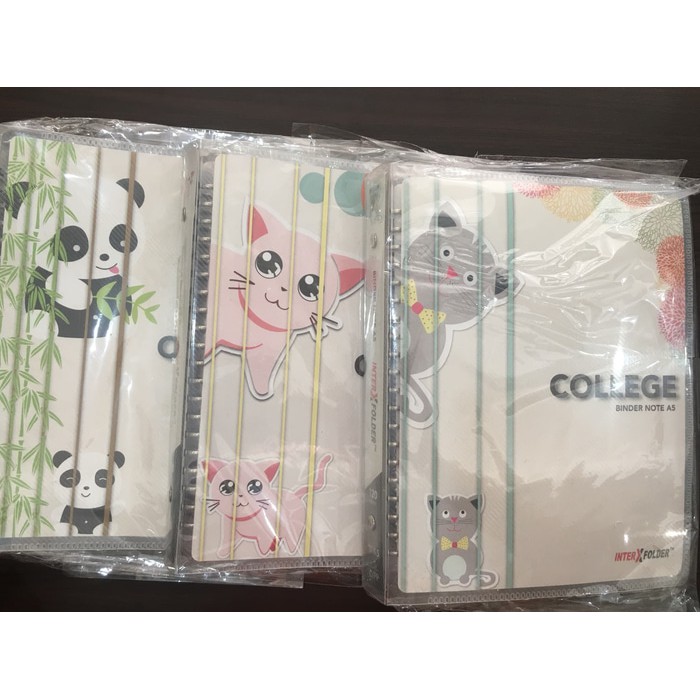 

Binder Inter X A5 ( loose leaf )