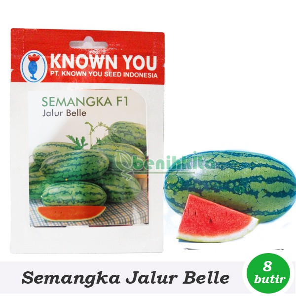 Benih-Bibit Semangka Lonjong Jalur Belle (Known You Seed)