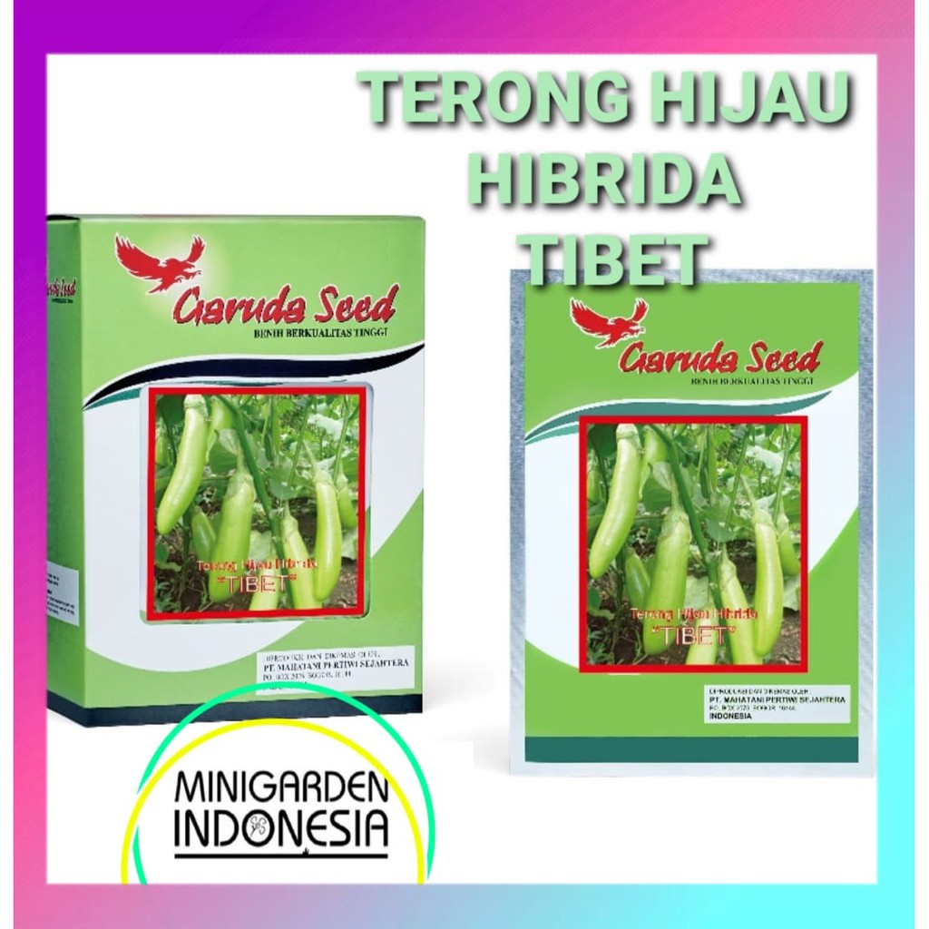 Bibit Terong Hijau Hibrida TIBET PACK 5 GRAM Benih terong ±1250 biji sayur sayuran unggul F1 Garuda Seed