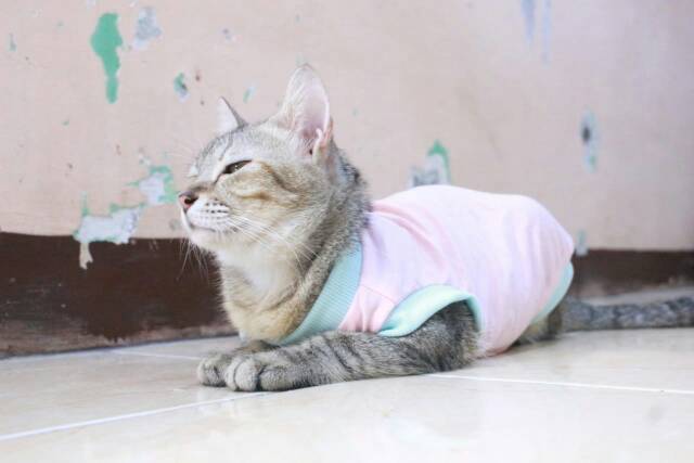 Kaos rumahan untuk kucing dan anjing warna pink / baju kucing murah size S M L XL