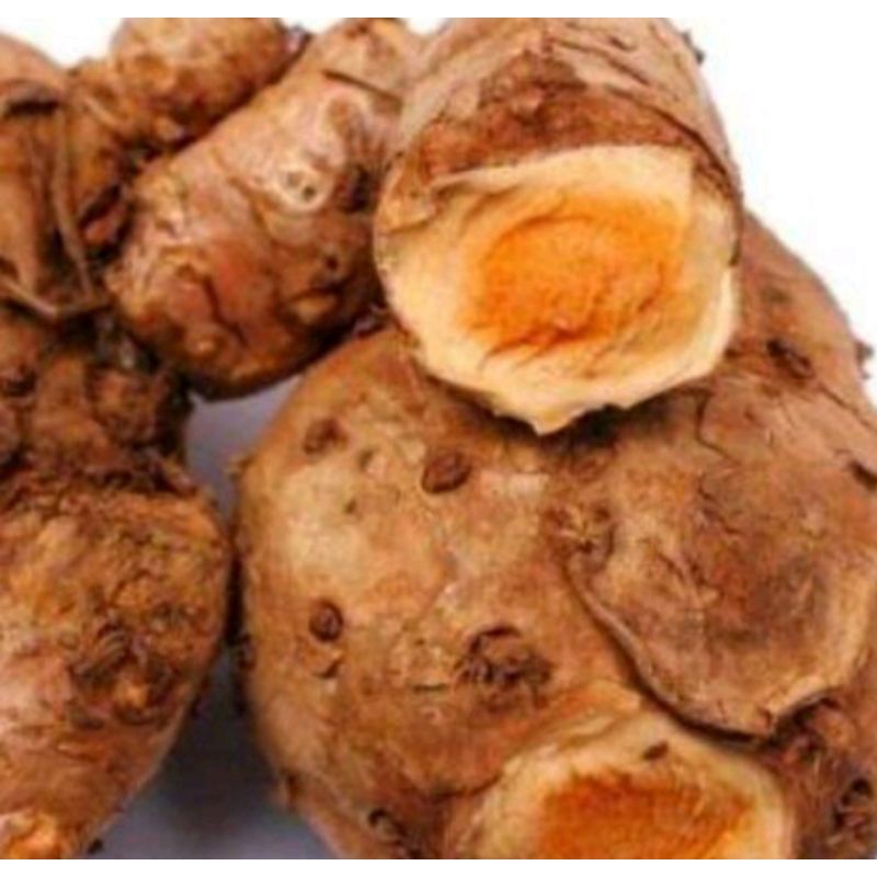 Temulawak segar 1 kg