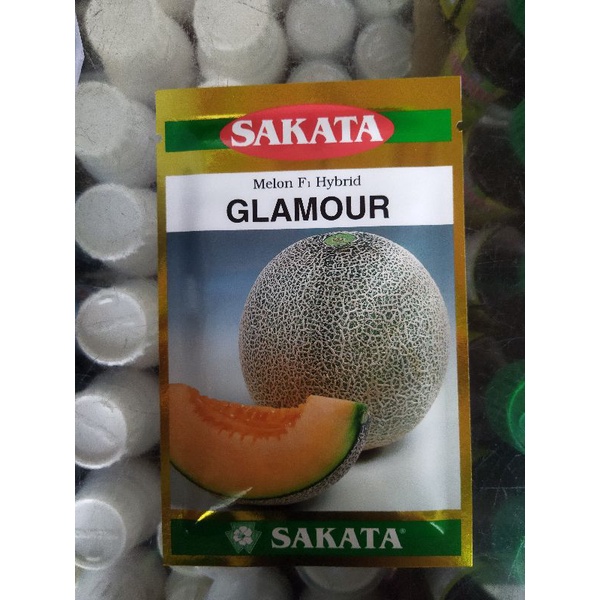 Benih Melon Hibrida GLAMOUR - Sakata Jepang