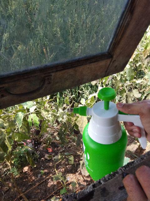 Misty Pressure Sprayer Semprotan 1 Liter