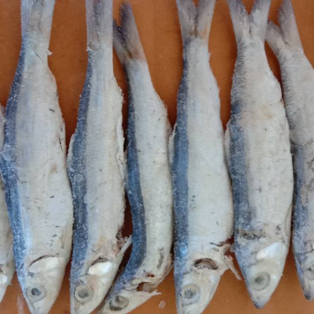 

ikan asin tamban kering kualitas terbaik tanpa pengawet 1kg