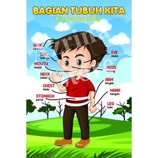 Jual [BIG SIZE 50x75cm] Poster Edukasi anak TK / Paud - Poster Belajar