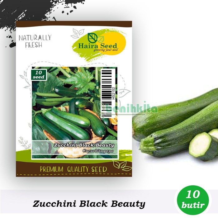 Benih-Bibit Zucchini Black Beauty (Haira Seed)