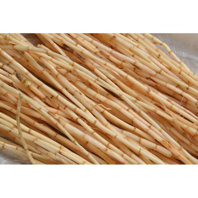 

Akar Alang Segar Regular/ 500gr