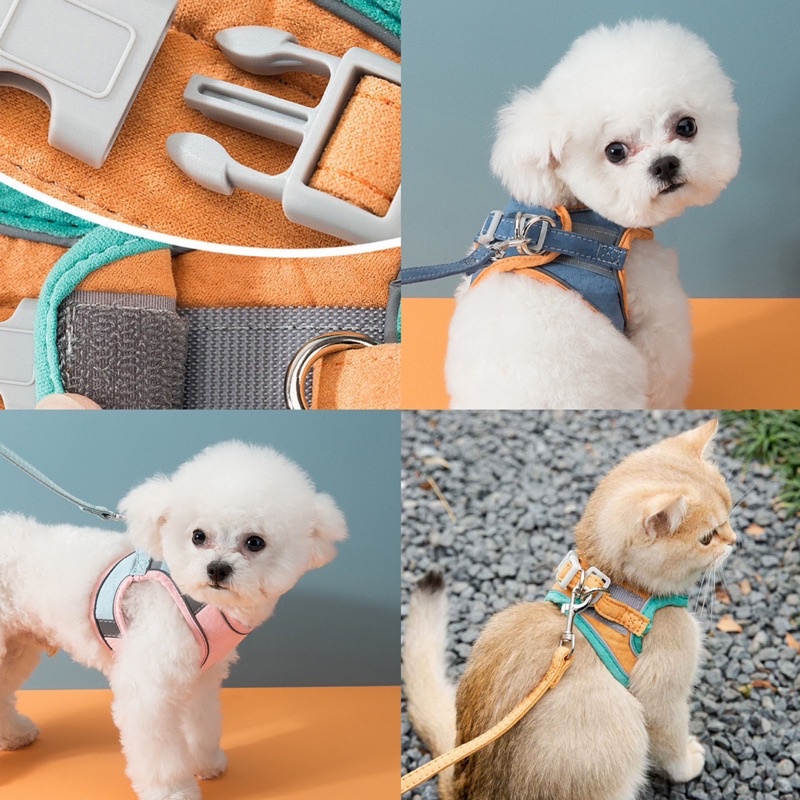 ARC EN CIEL HIPIDOG PET HARNESS SET