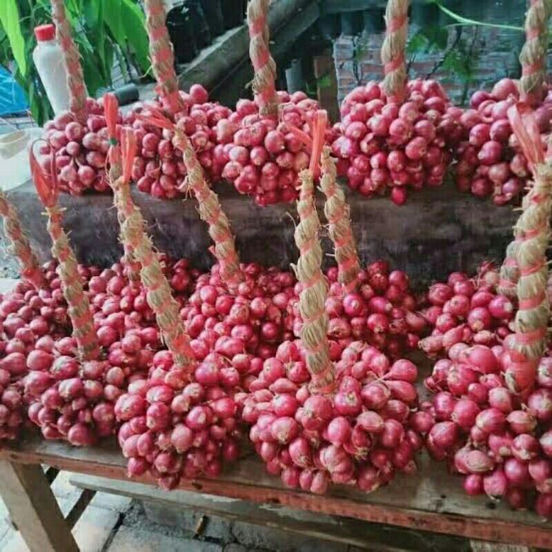 

Promo bawang merah untingan 20kg