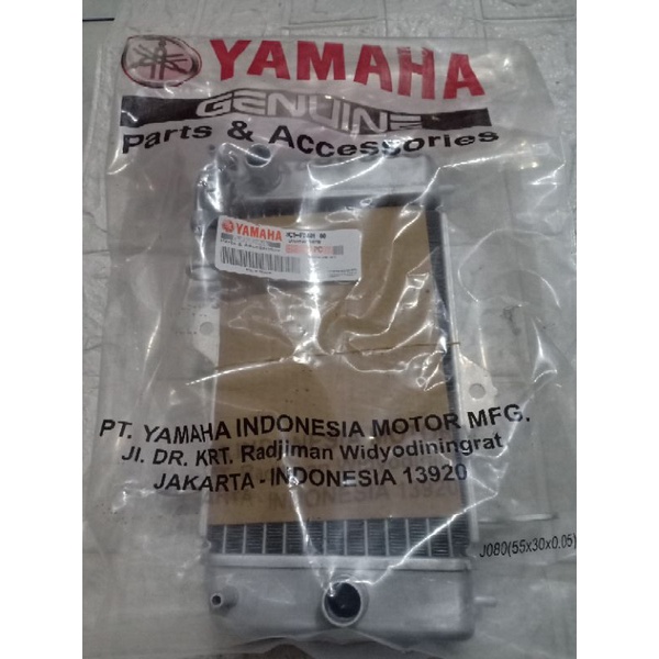 radiator assy Vixion old