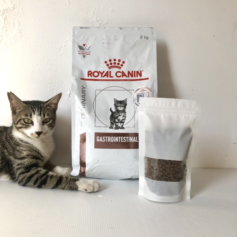 Royal Canin Gastro Intestinal KITTEN | REPACK 100gr , 200gr, 400gr Makanan Khusus Kucing Diare