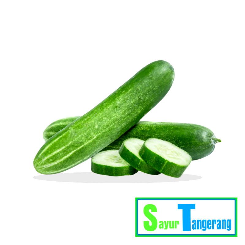 

Sayur Tangerang Sayran Timun Segar 1 kg
