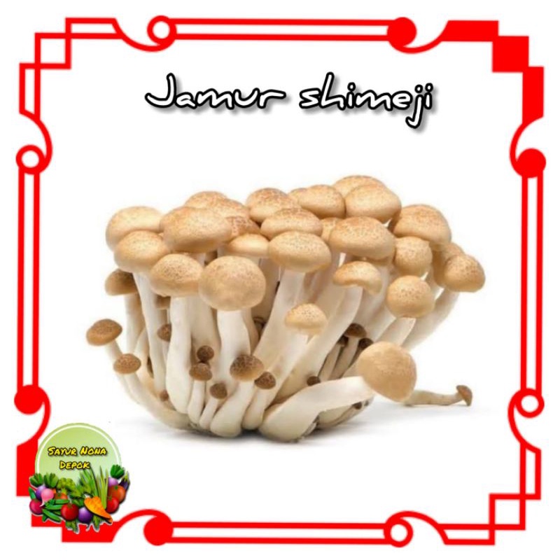 

jamur shimeji