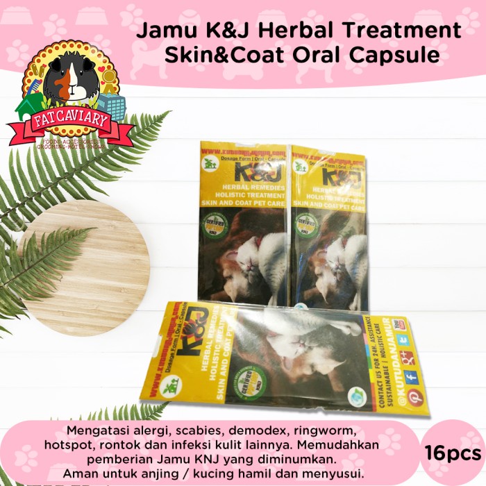 New Sembuhkan Iritasi Kulit Karena Jamur Pada Anjing/Kucing, Jamu KNJ kaps HG0110