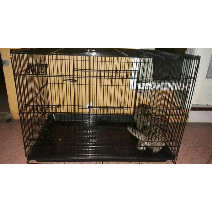Harga Promo!!! Kandang Kucing/kucing hutan