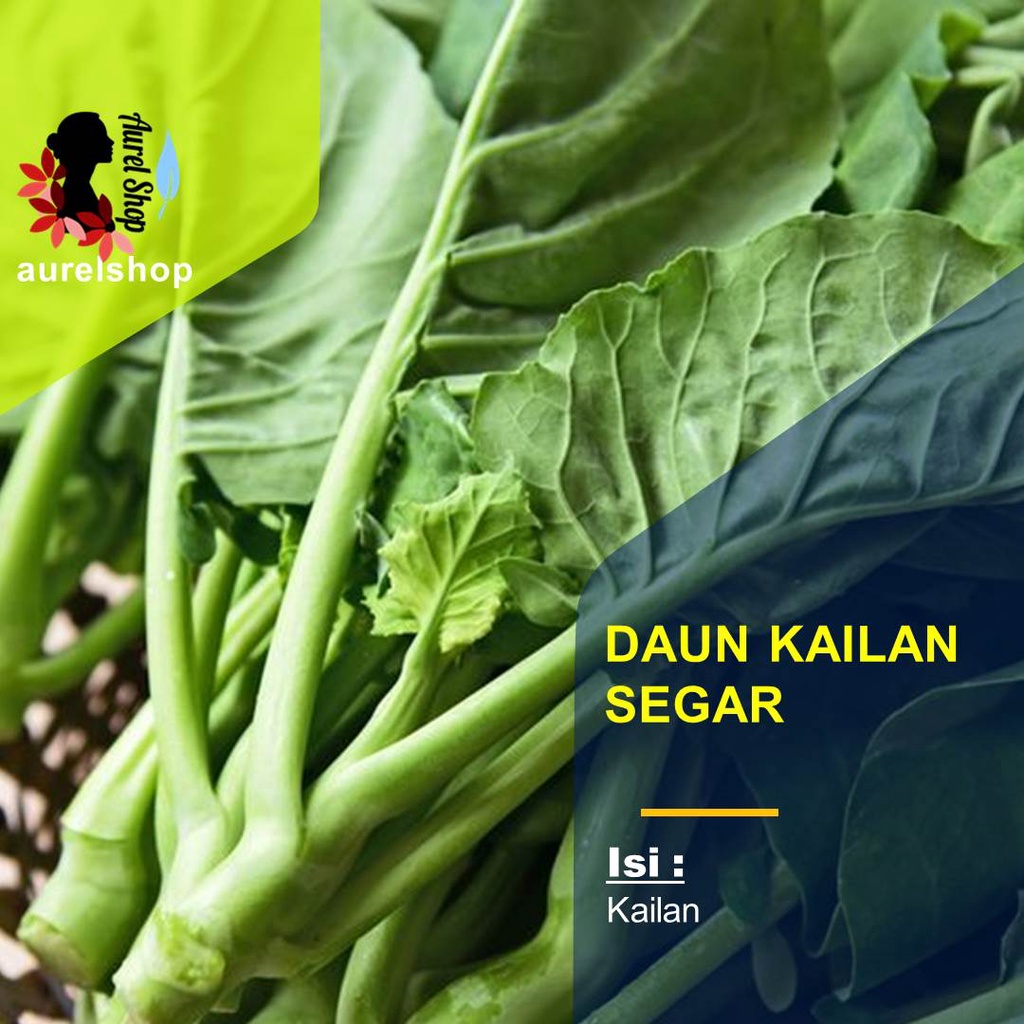 

Daun Kailan Segar kemasan 1 kg