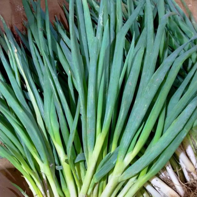 

Daun bawang/ daun pere 500gr