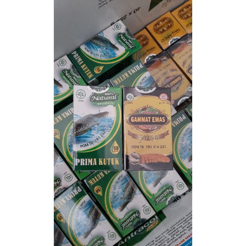 PAKET KAPSUL KUTUK DAN GAMAT EMAS