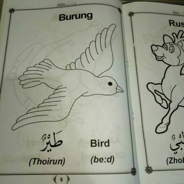 Buku Mewarnai Binatang Dan Belajar Bahasa Inggris Arab Shopee Indonesia