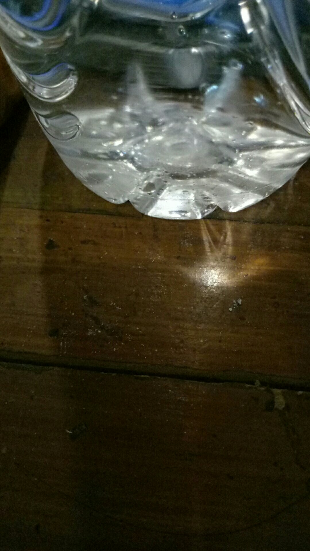 mj88999 Dompet Wanita 117C Retro Paragraf Pendek Forever 