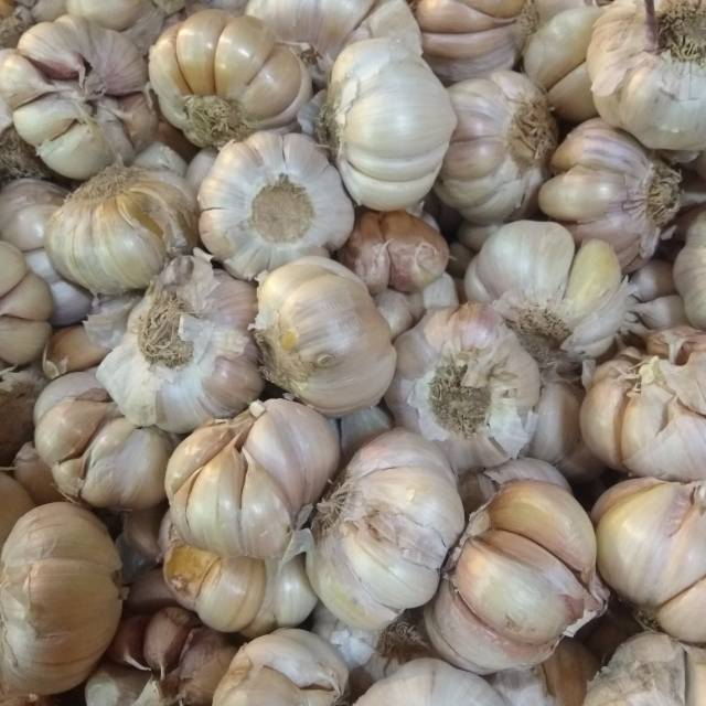 

Jual bawang putih segar min 500gram
