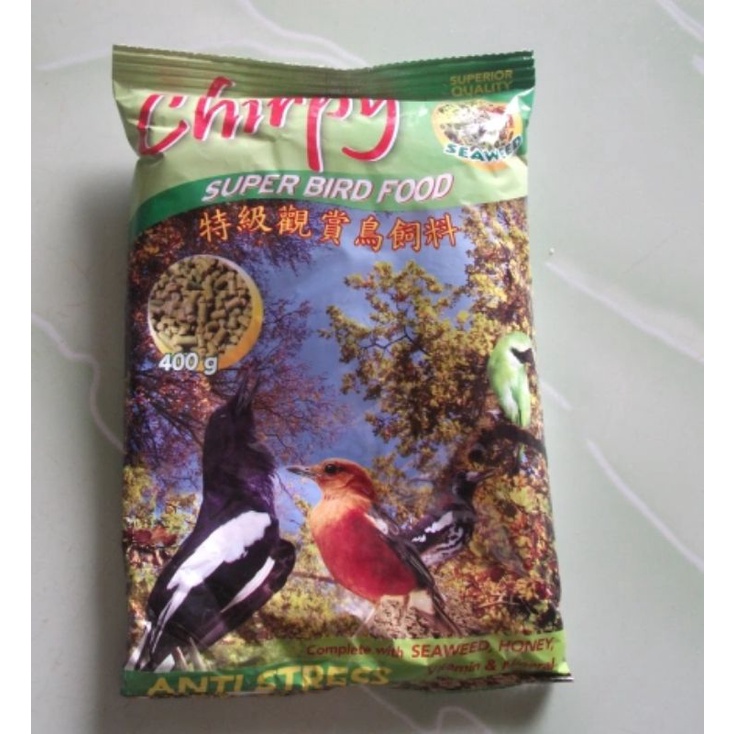 Shirpy Pur Burung Murai Murah