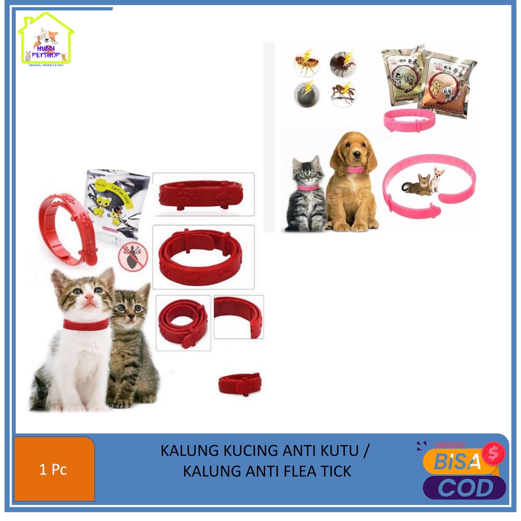 KALUNG KUCING ANTI KUTU / KALUNG ANTI FLEA TICK /KALUNG ANTI KUTU KUCING