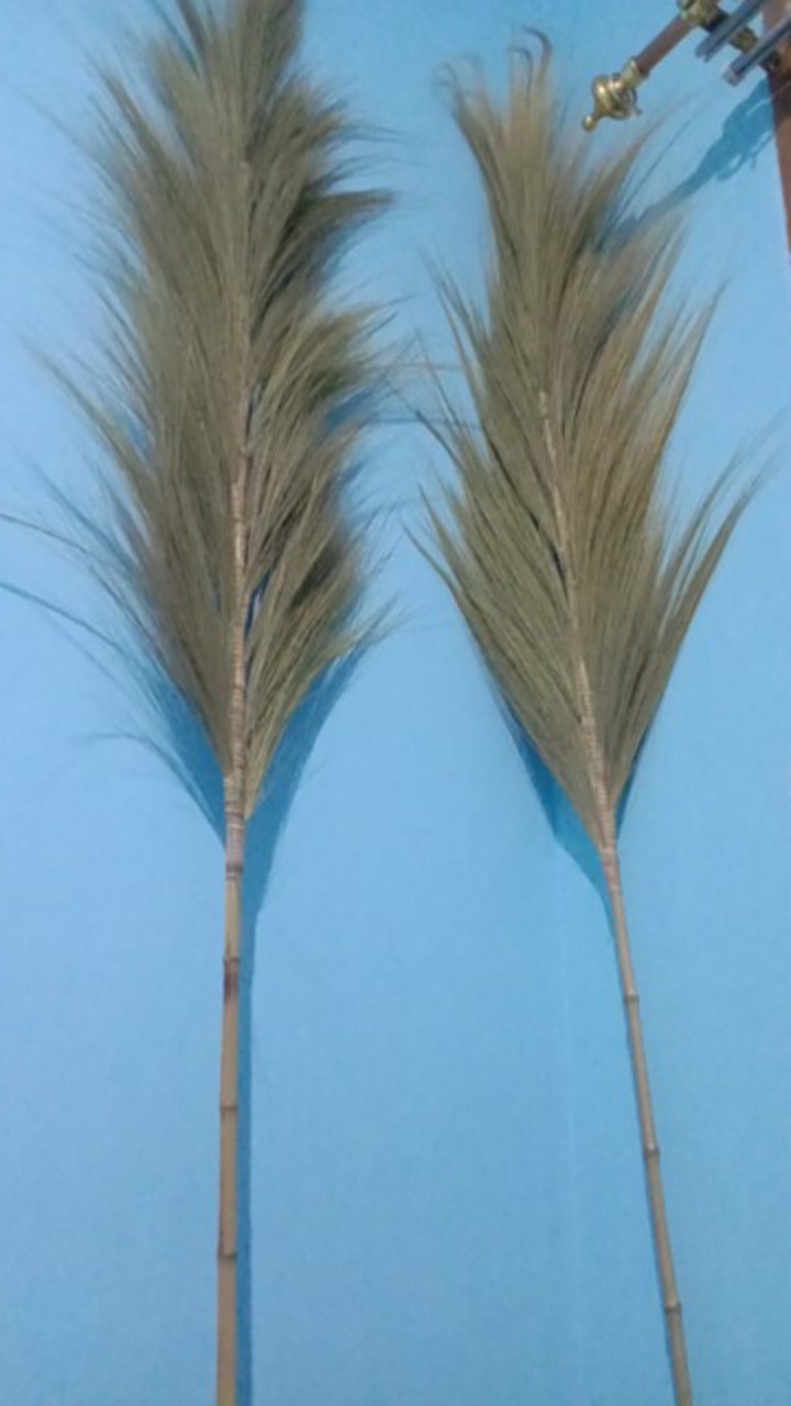 Bunga Kering Bundle Isi 2 /daun Kering /bunga Hias /natural Leaf