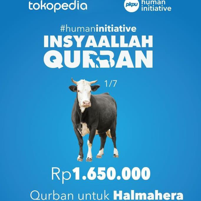 

Terlaris! Qurban 1/7 Sapi Di Halmahera Dan Sigi